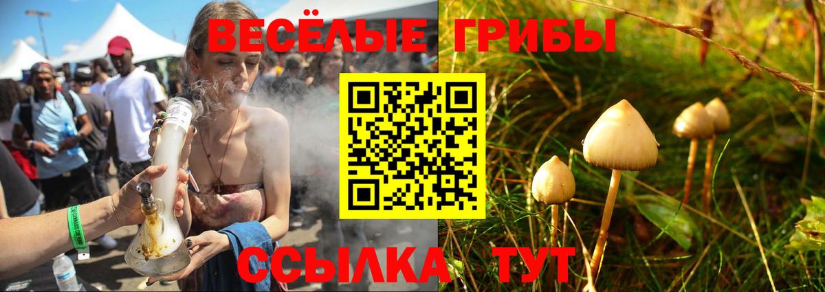 Архангельск  Псилоцибиновые грибы мухоморы  Вход с VPN  Галлюциногенные грибы Psilocybine cubensis 